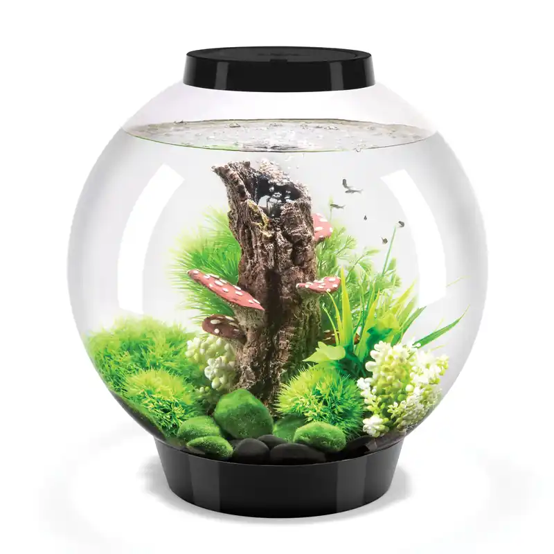 CLASSIC 30 Aquarium with Standard Light - 8 gallon