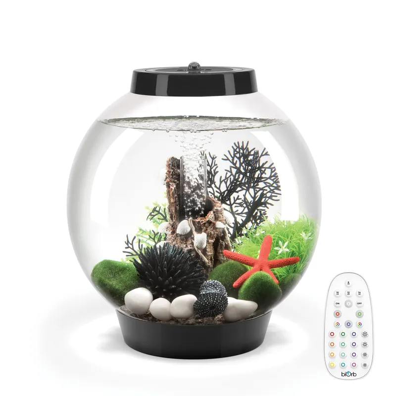 CLASSIC 15 Aquarium with MCR Light - 4 gallon