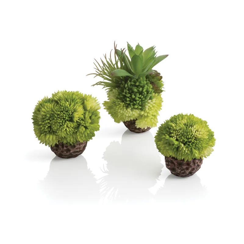 Coral Ball Set - biOrb