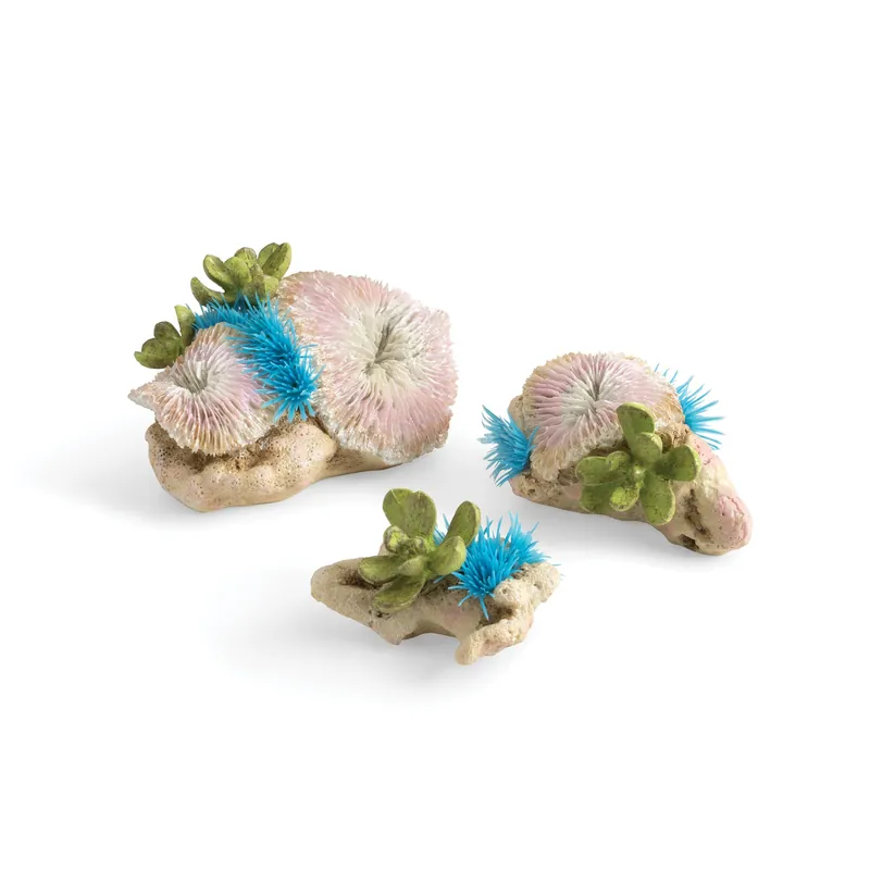 Plate Corals & Button Polyps Set - biOrb