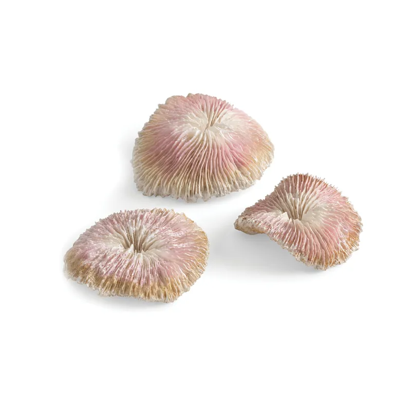 Plate Coral Set - biOrb