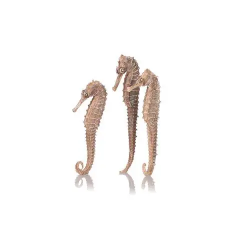 Seahorse Set - biOrb