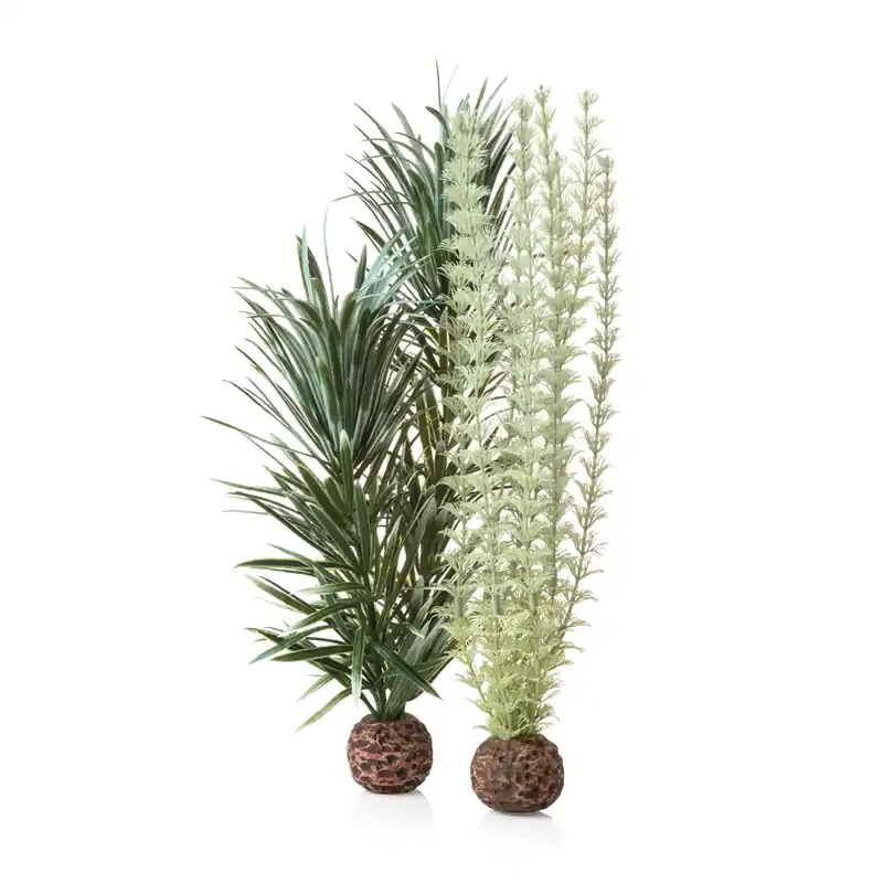 Medium Ambulia Plant Set - biOrb