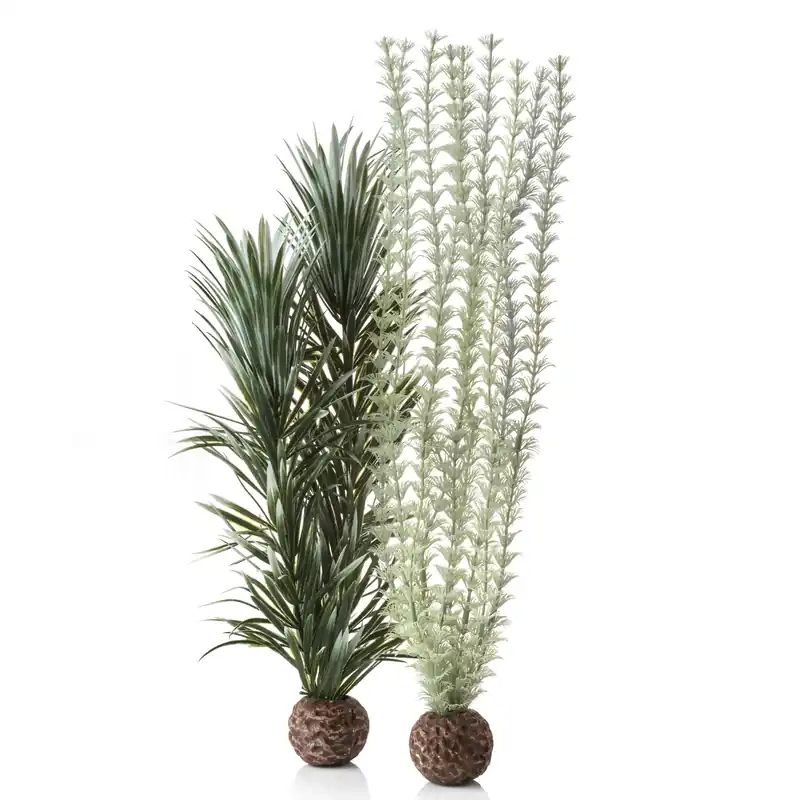 Large Ambulia Plant Set - biOrb