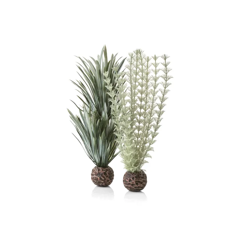 Small Ambulia Plant Set - biOrb