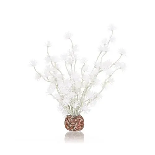 Bonsai Ball - biOrb