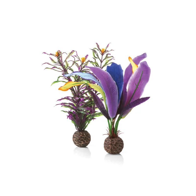 Small Parrot Feather Plant Set - biOrb