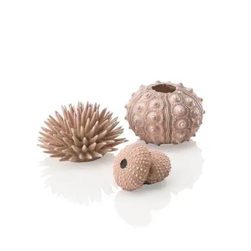 Sea Urchins Set - biOrb