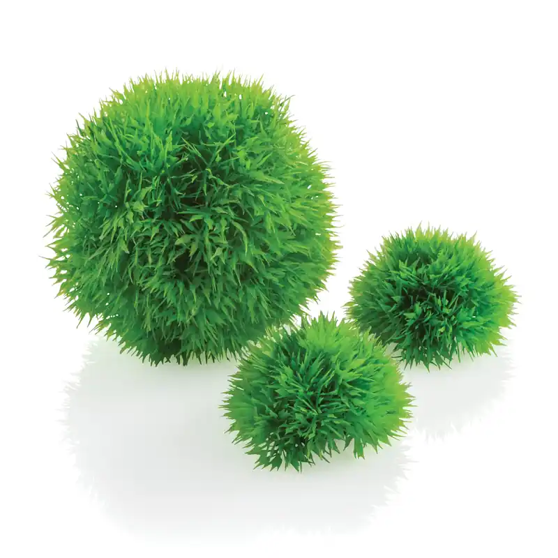 Aquatic Topiary Ball Set - biOrb