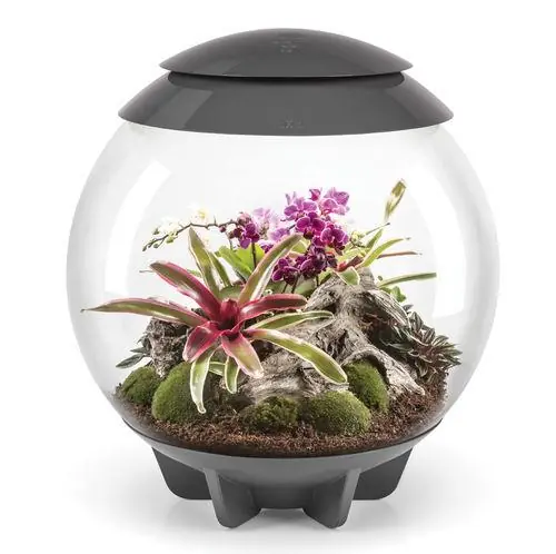 AIR 60 Terrarium - biOrb