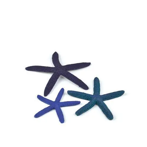 Starfish Set - biOrb