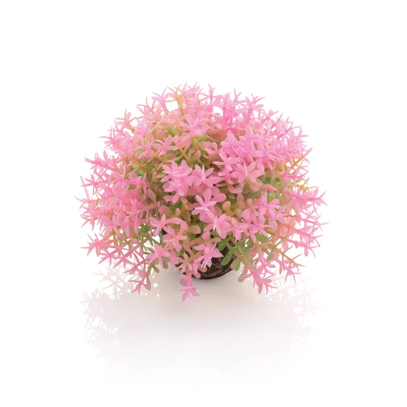 Flower Ball - biOrb
