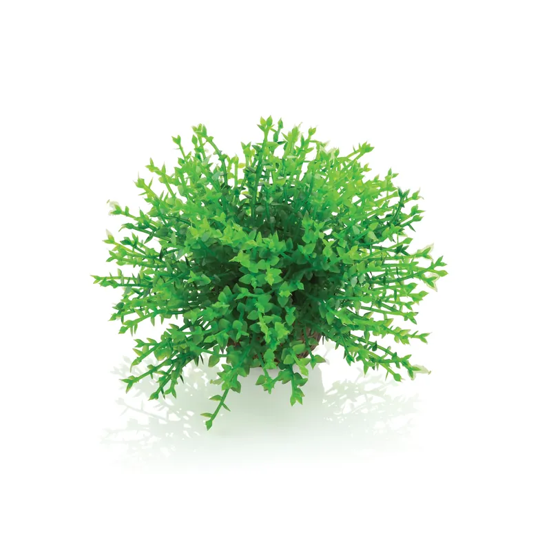 Green Flower Ball - biOrb