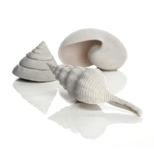 Seashell Set - biOrb