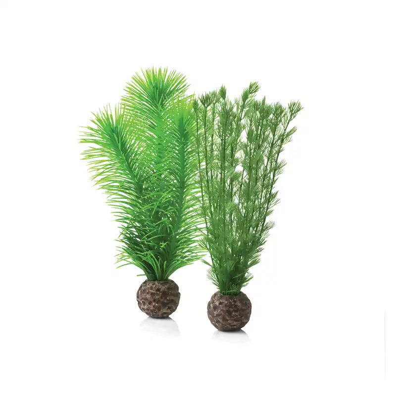 Small Green Feather Fern Plant Set - biOrb