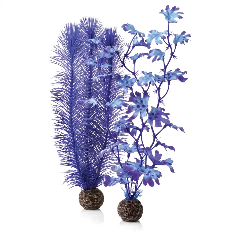 Medium Kelp Plant Set - biOrb