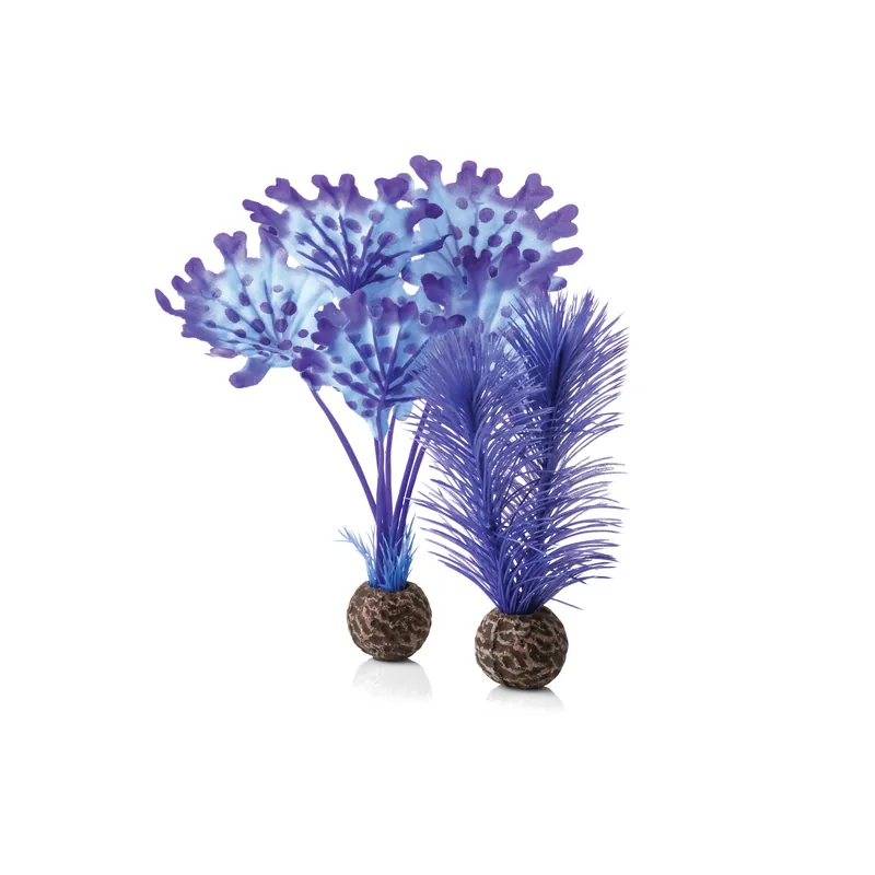Small Kelp Plant Set - biOrb