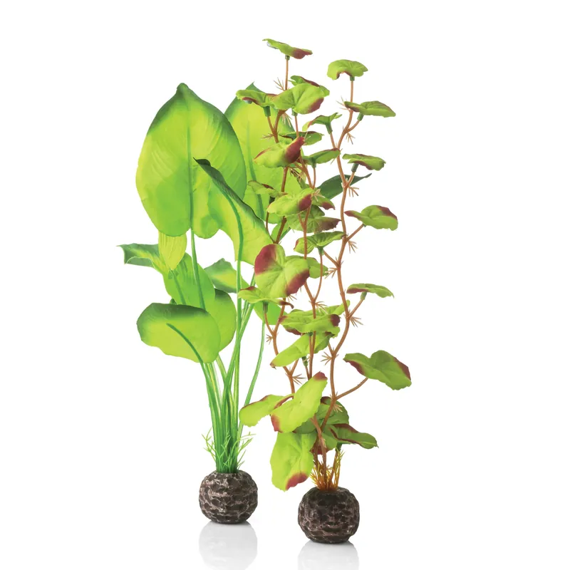 Medium Green Silk Plant Set - biOrb
