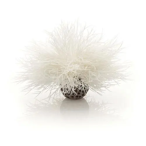 Sea Lily - biOrb