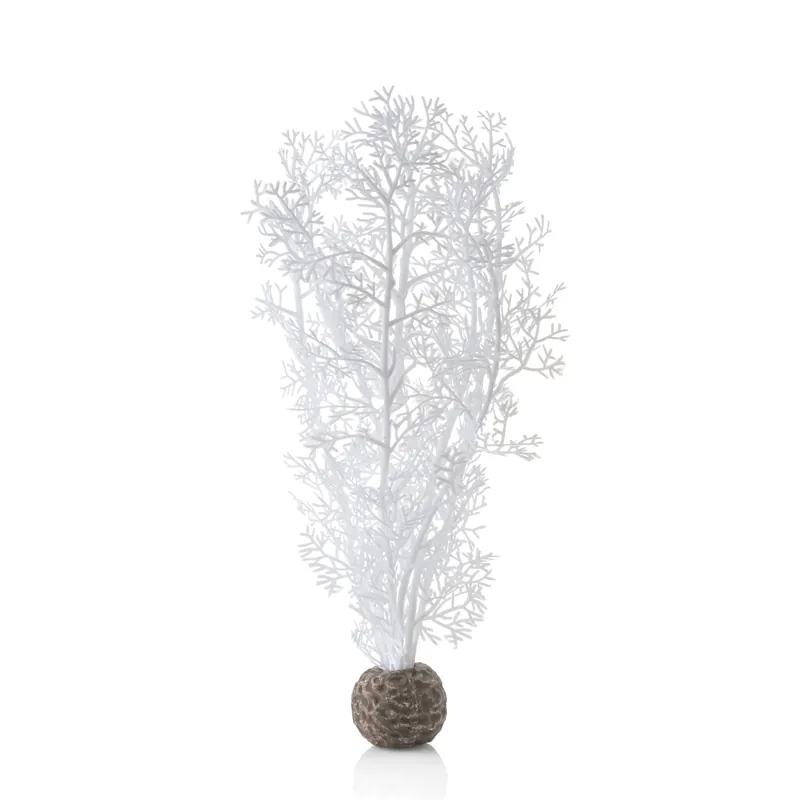 Medium Sea Fan - biOrb