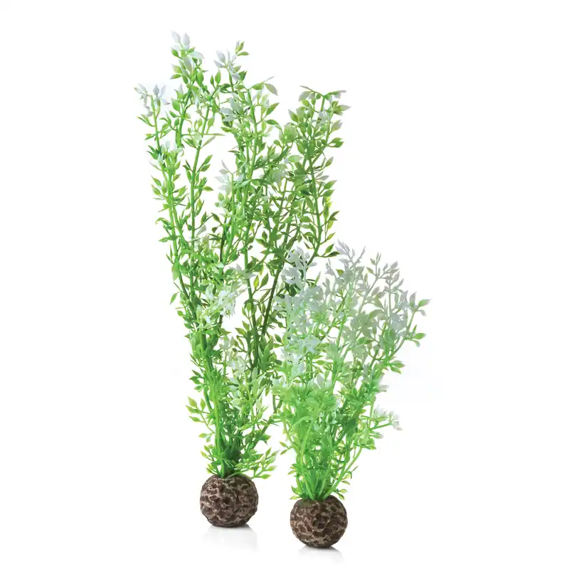 Winter Flower Plant Set - biOrb