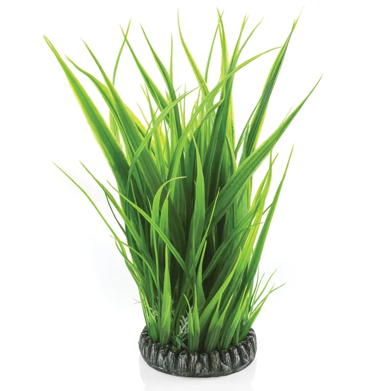 Large Grass Ring - biOrb