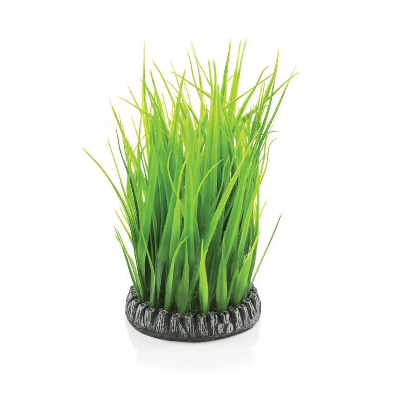 Medium Grass Ring - biOrb