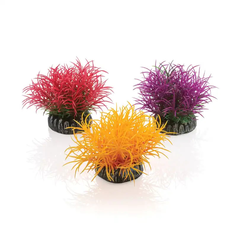 Aquatic Color Ball Set - biOrb