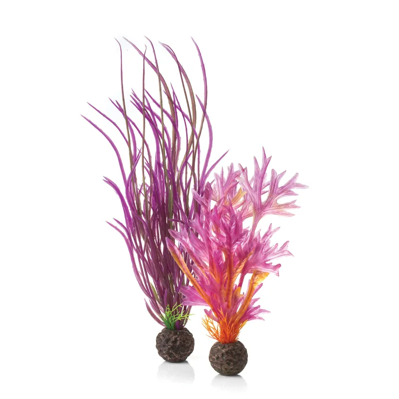 Medium Red & Pink Plant Set - biOrb