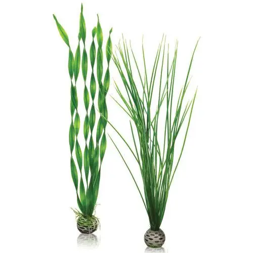 Large Green Plant Set - biOrb