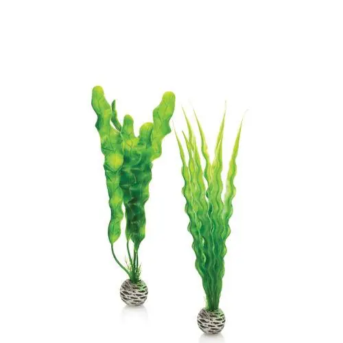 Medium Green Plant Set - biOrb