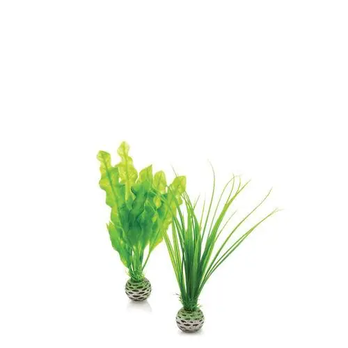Small Green Plant Set - biOrb