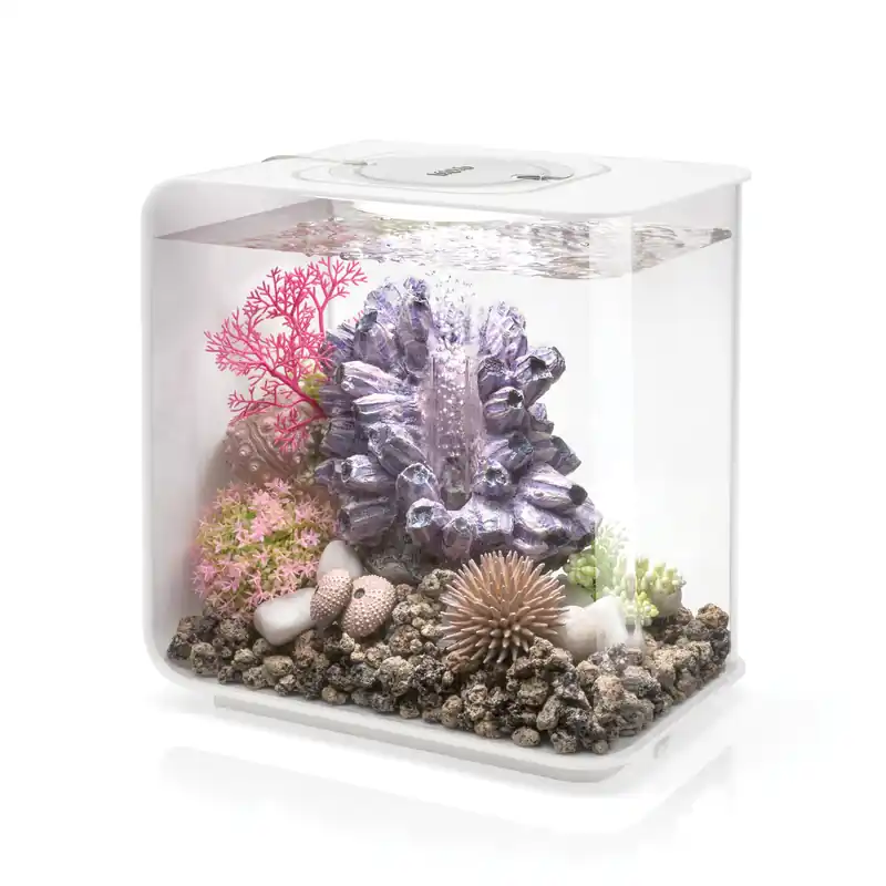 FLOW 15 Aquarium with Standard Light - 4 gallon