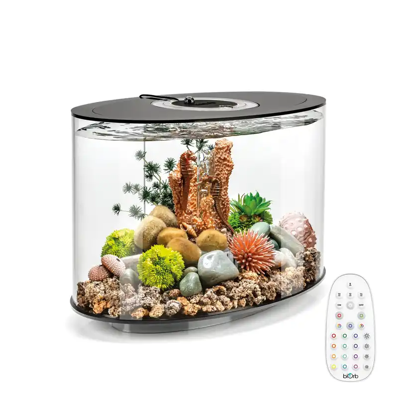 LOOP 15 Aquarium with MCR Light - 4 gallon