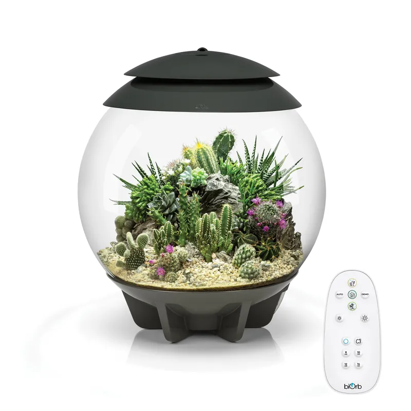 AIR 30 Terrarium - biOrb