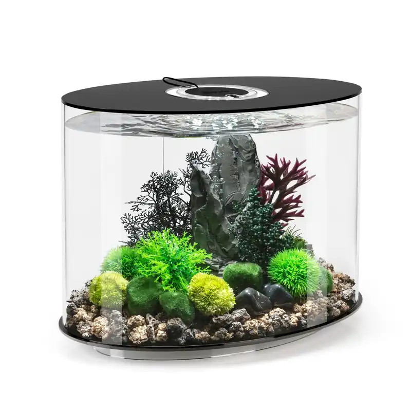 LOOP 30 Aquarium with Standard Light - 8 gallon