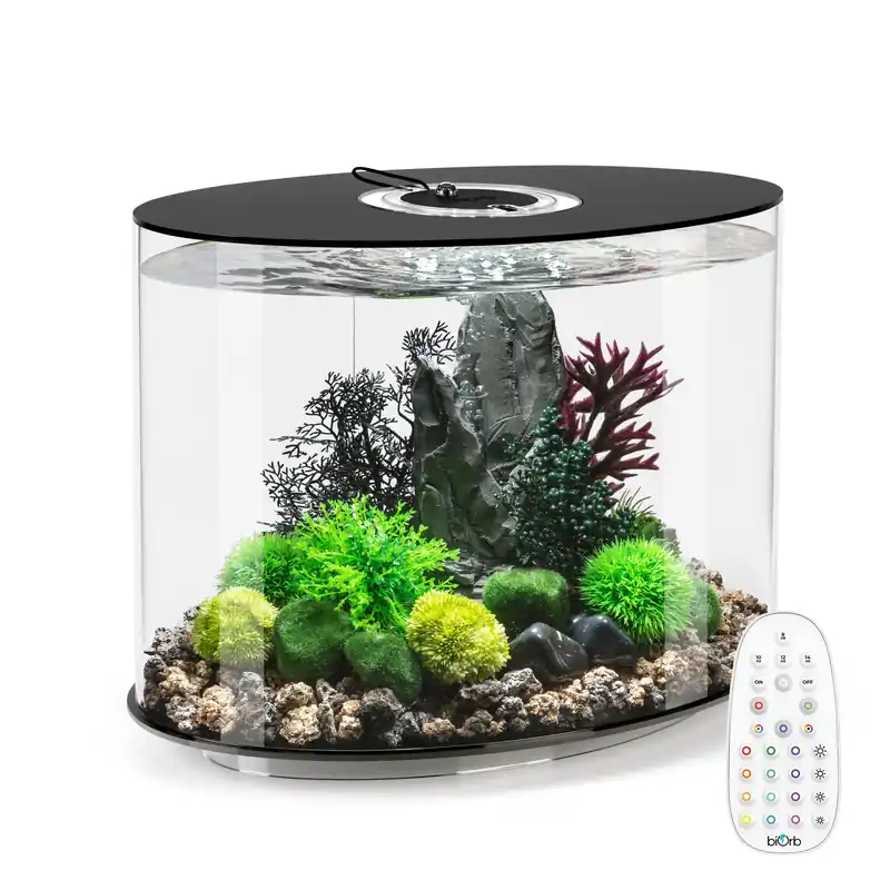 LOOP 30 Aquarium with MCR Light - 8 gallon