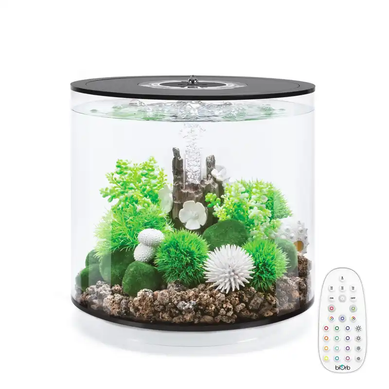 TUBE 15 Aquarium with MCR Light - 4 gallon