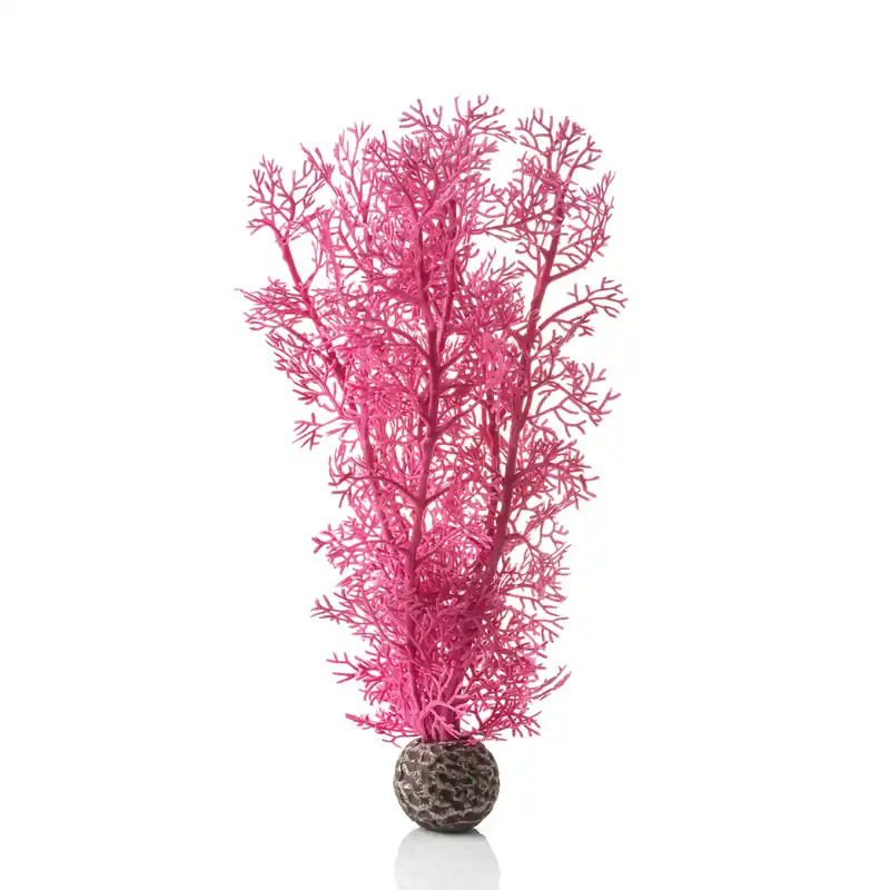Medium Sea Fan - biOrb