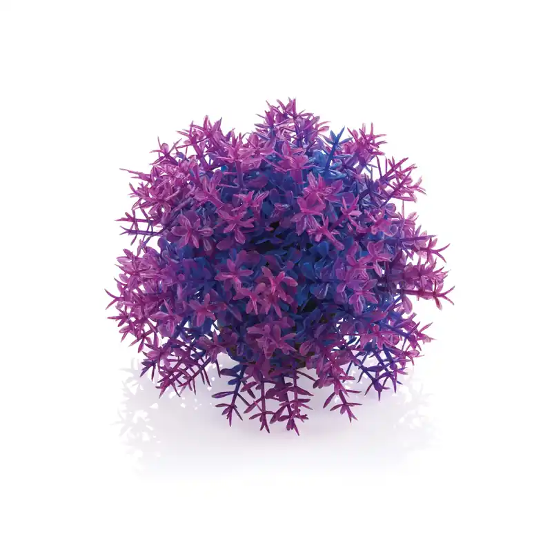 Flower Ball - biOrb