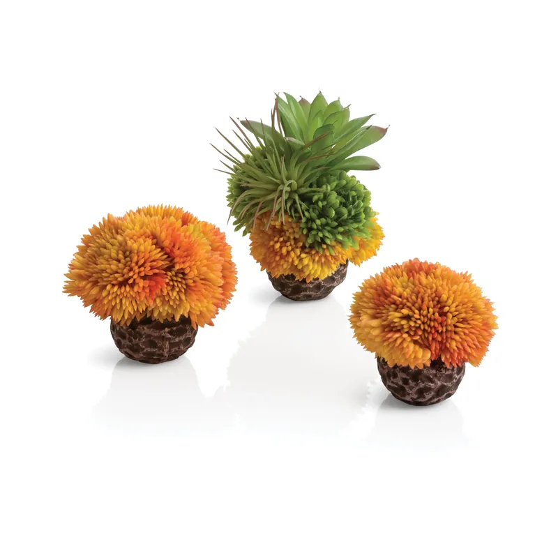 Coral Ball Set - biOrb