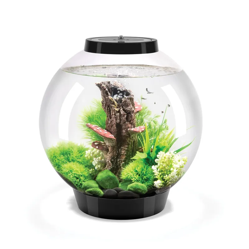 Woodland Wonder - biOrb