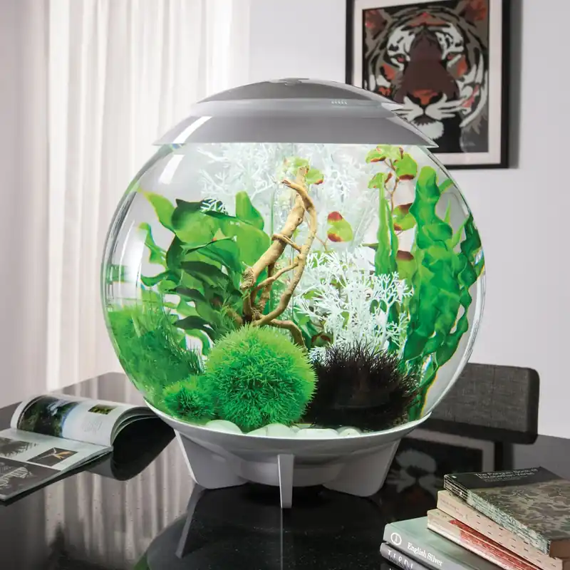 Arboreal Bliss Bundle - biOrb