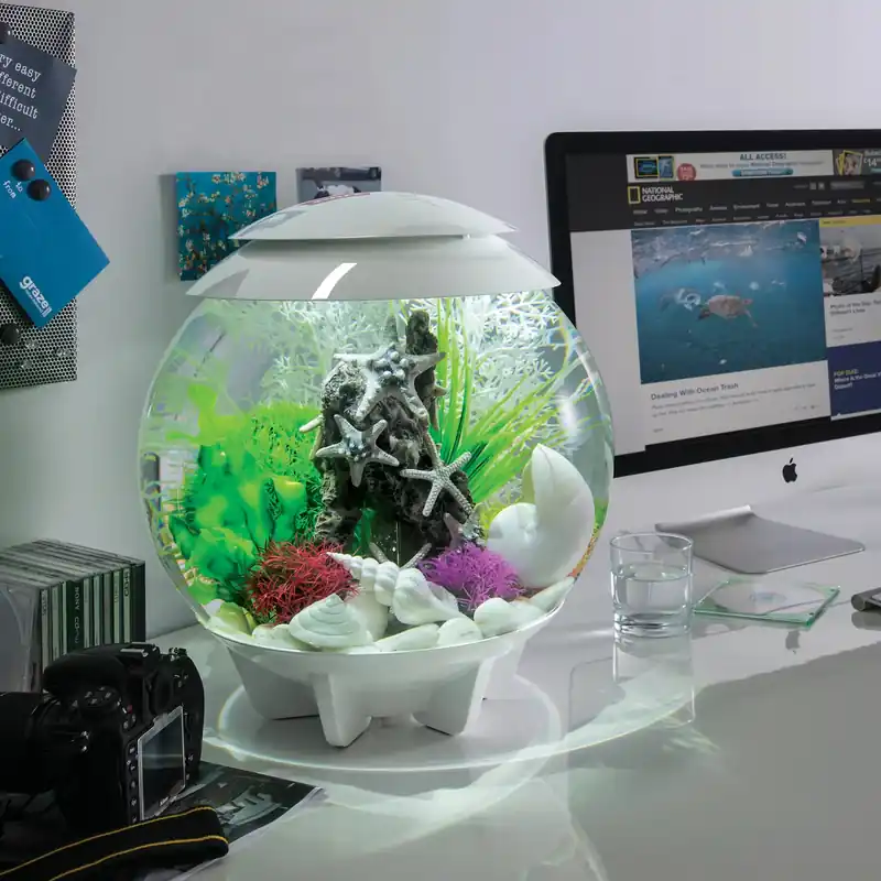 Beachside Bliss Bundle - biOrb