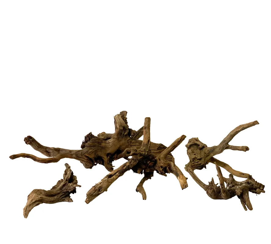 Ancient horn driftwood - Aqua Forest Aquarium