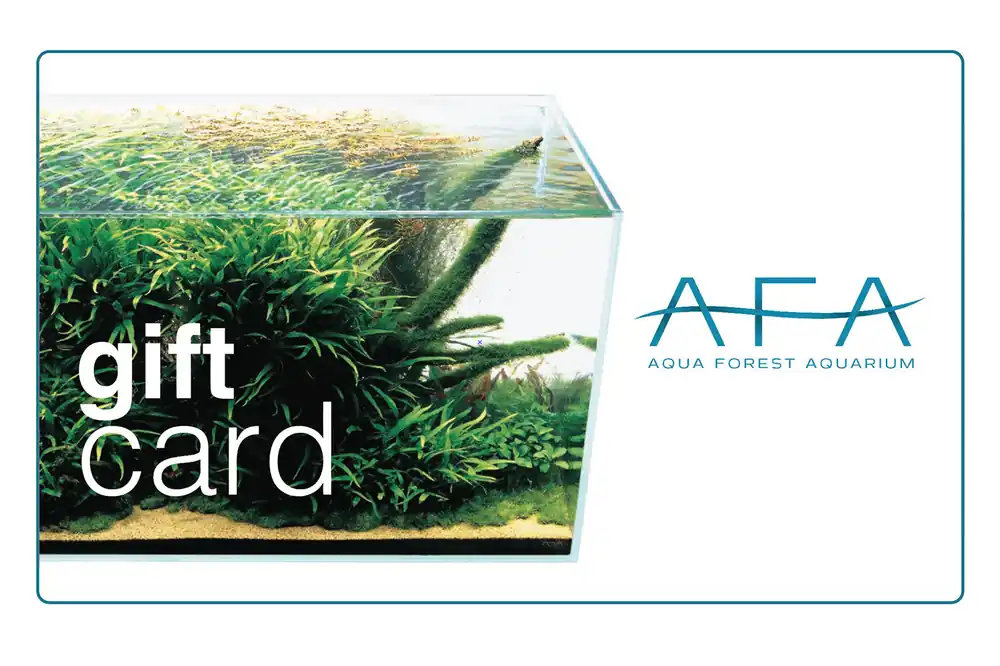 AFA Gift Card - Aqua Forest Aquarium