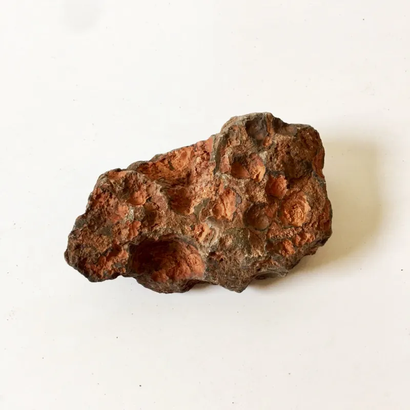 Desert Rose Stone - Aqua Forest Aquarium