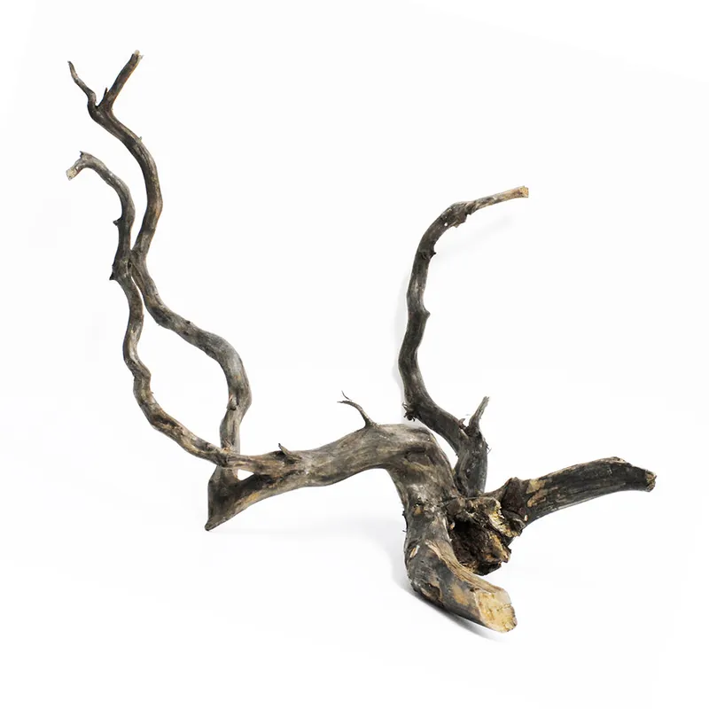Forest Black Wood Branch Type - Aqua Forest Aquarium