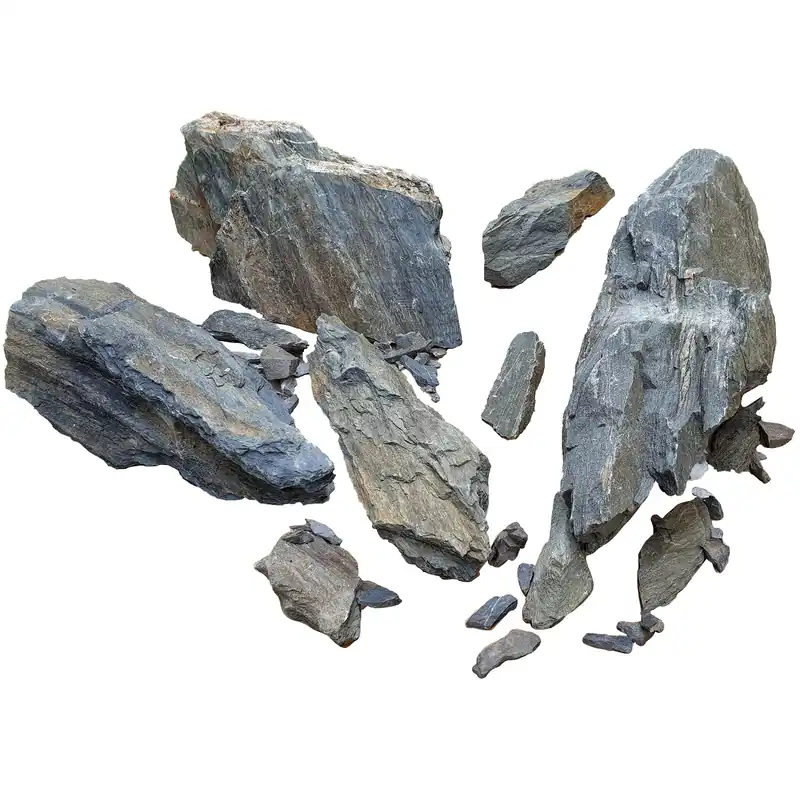 Blue Fin Stone - Aqua Forest Aquarium