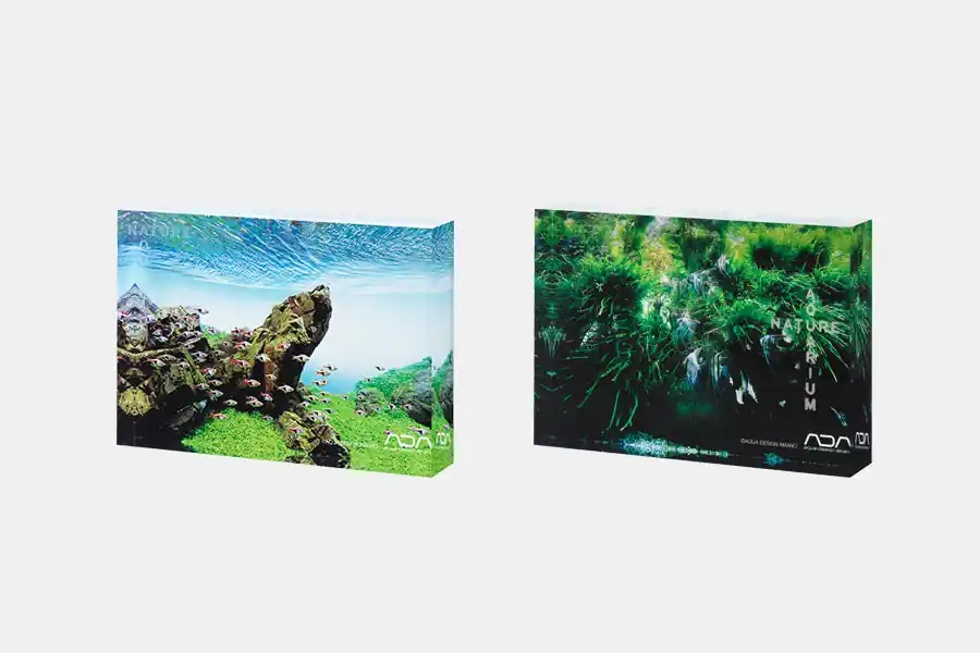 ADA NA ACRYLIC PHOTO BLOCK